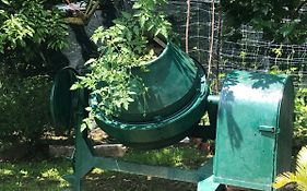Un Bell Incontro