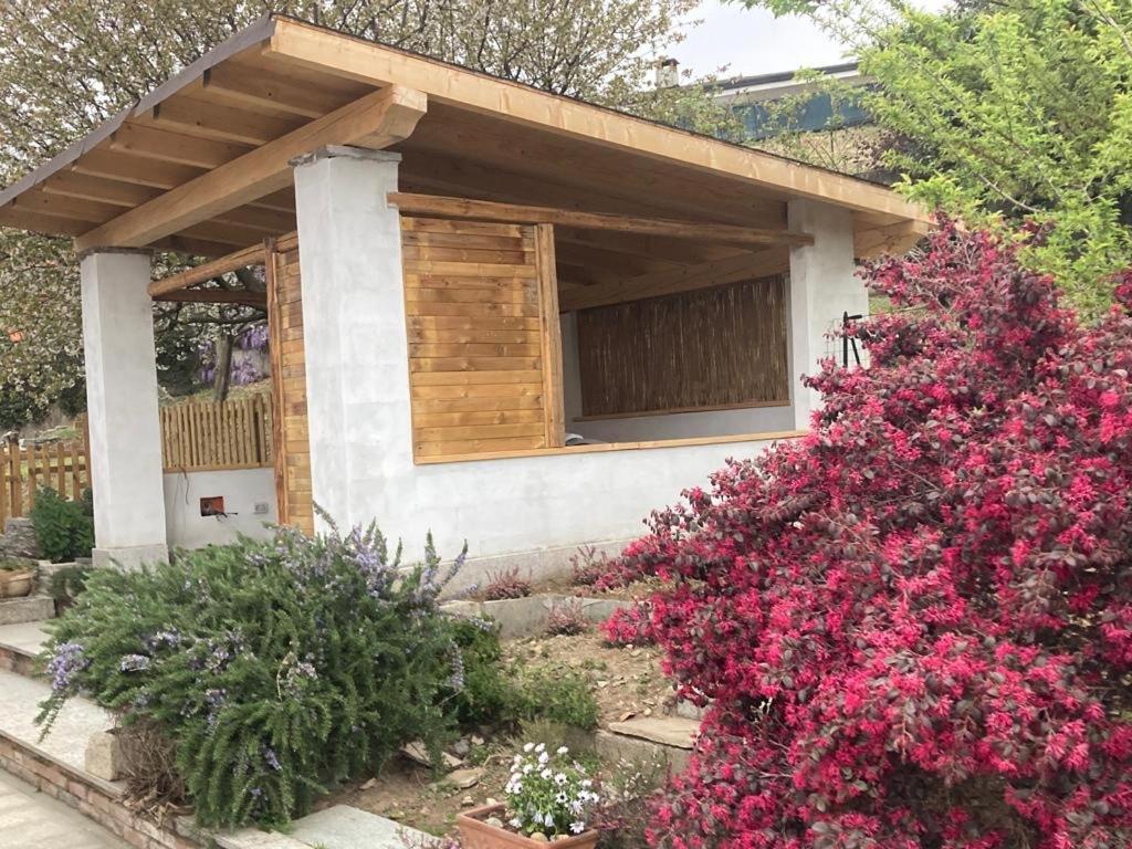 Apartament Un Bell Incontro Borgo Ticino Zewnętrze zdjęcie