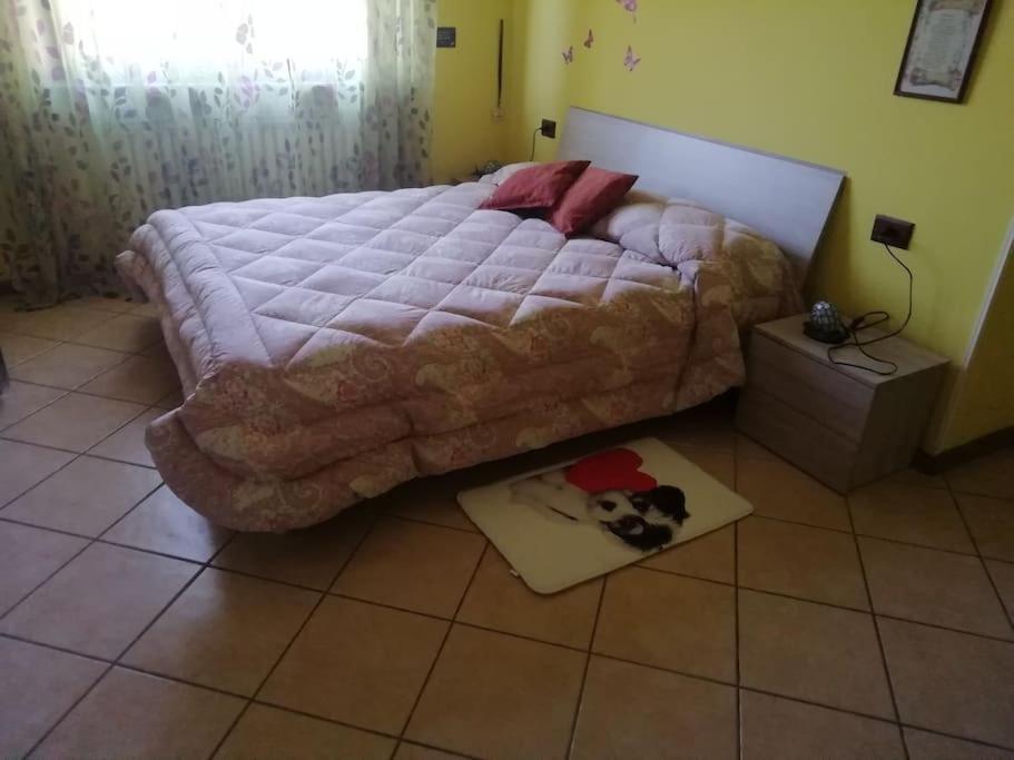 Apartament Un Bell Incontro Borgo Ticino Zewnętrze zdjęcie