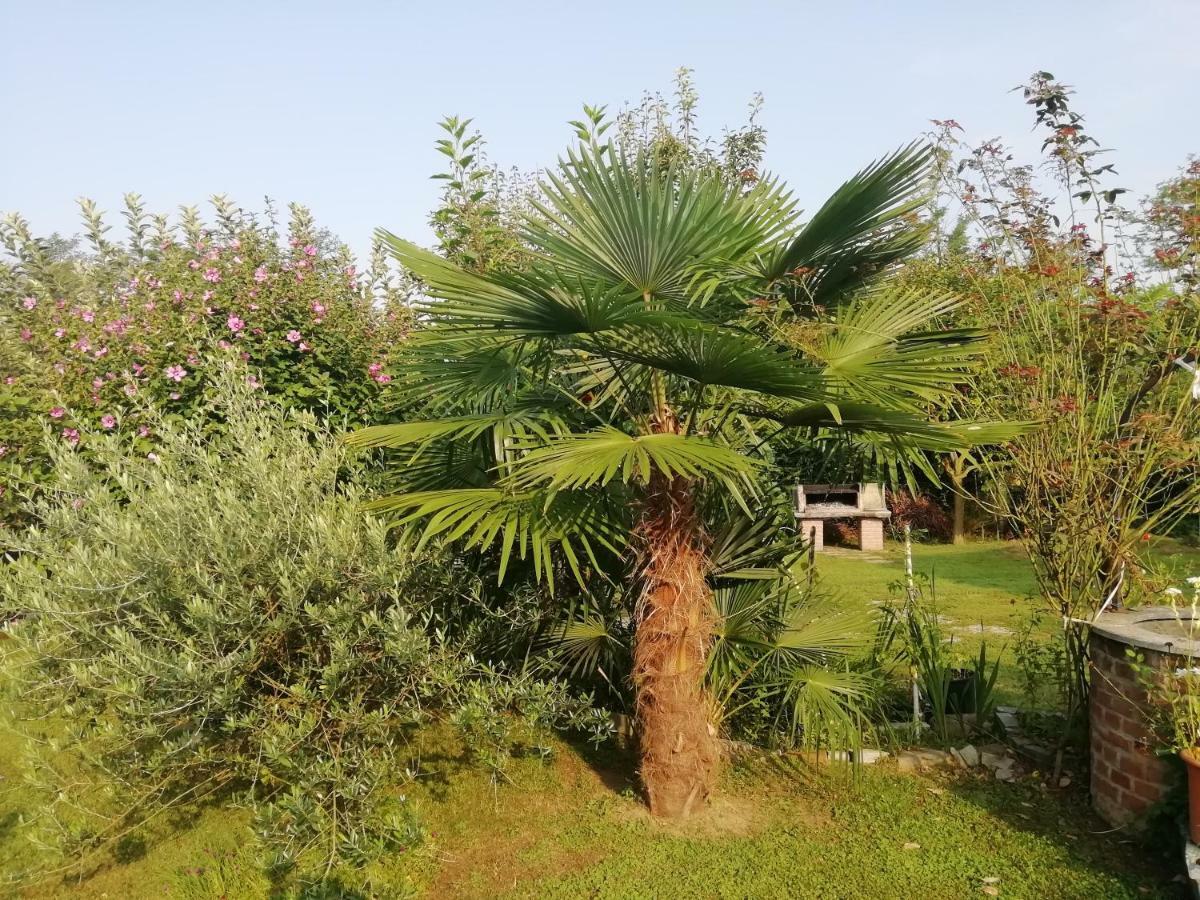 Apartament Un Bell Incontro Borgo Ticino Zewnętrze zdjęcie