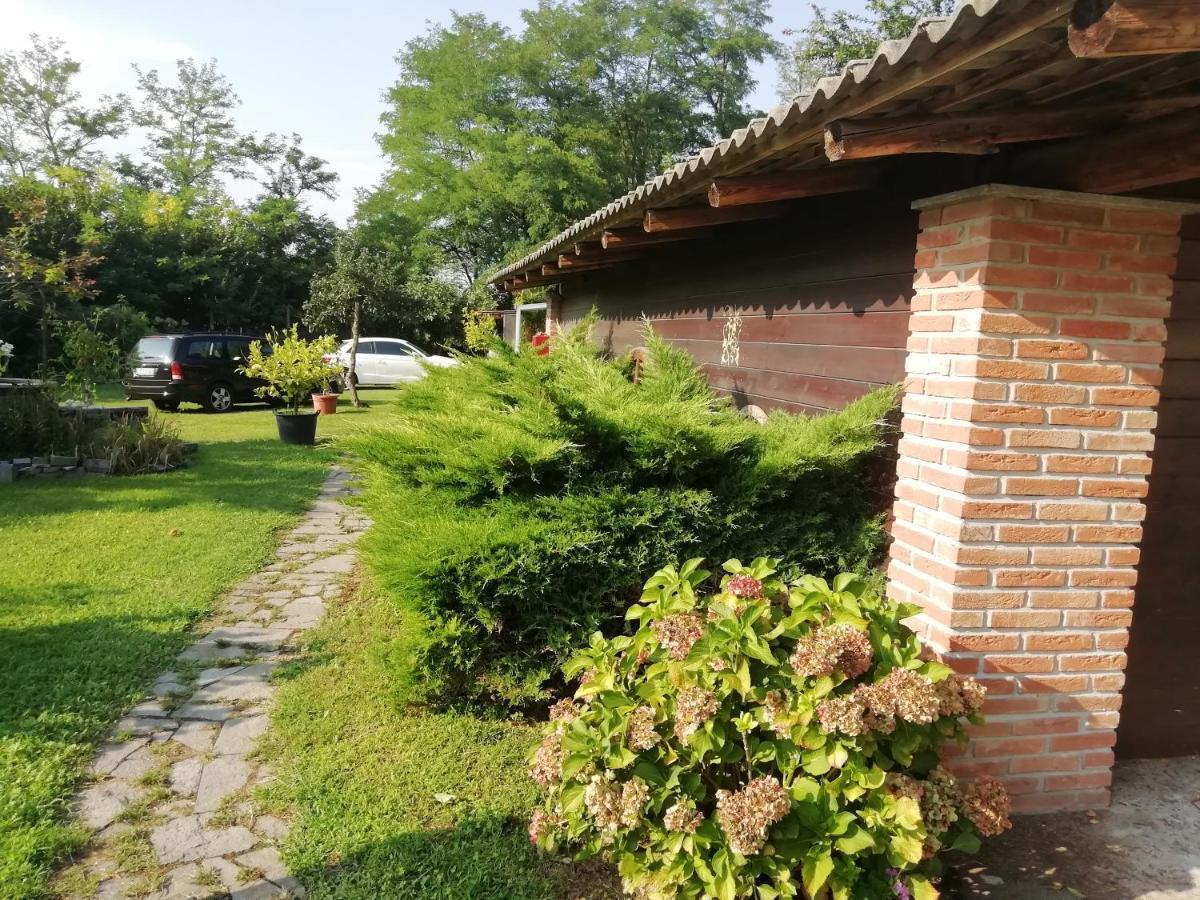 Apartament Un Bell Incontro Borgo Ticino Zewnętrze zdjęcie