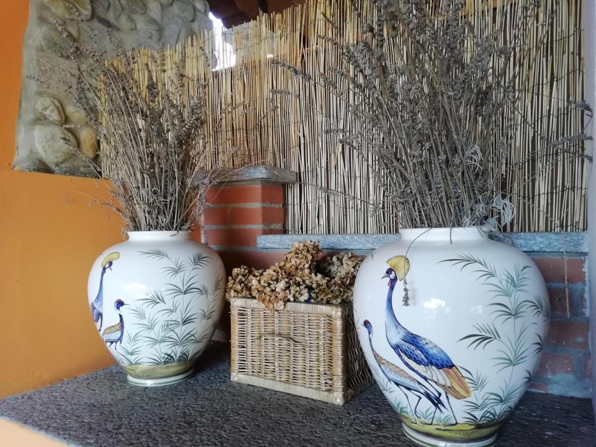 Apartament Un Bell Incontro Borgo Ticino Zewnętrze zdjęcie